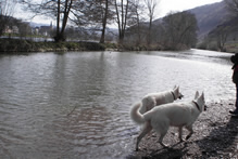 Coralie & Keona im Wasser